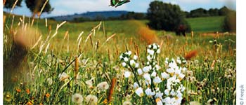 A la découverte de notre biodiversité